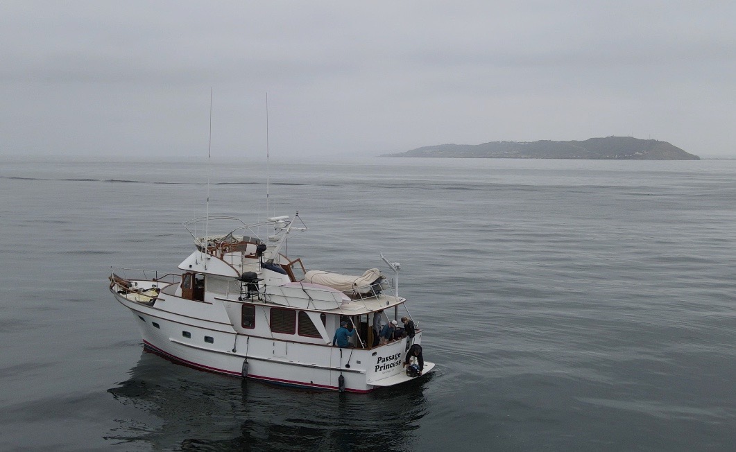 A boat in the water

Description automatically generated with medium confidence